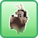 Poco común Cattle