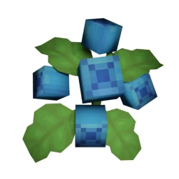Blueberry