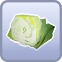 common Cabbage