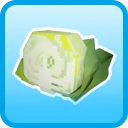 rare Cabbage