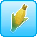 rare Corn