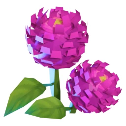 Gomphrena