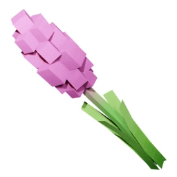 Hyacinth
