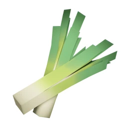 Leek