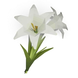 White lily