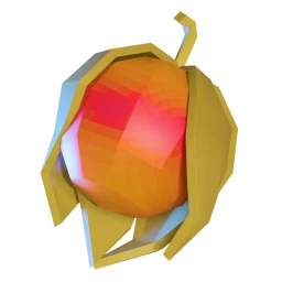 Physalis
