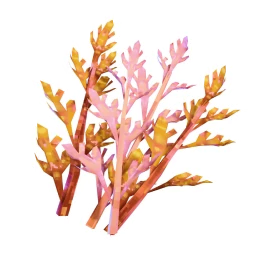 Protoflower