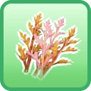 uncommon Protoflower