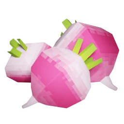 Radish