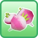 uncommon Radish