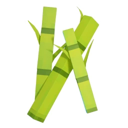 Sugarcane