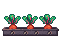 BeetCoiner