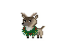 Blitzen Jr.