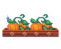 BronzePumpkin