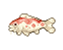 Carp Diem