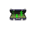 Cash Brew