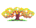 Crypto Bloom