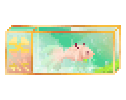 Crypto-Koi