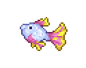 Disco Fin