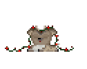 Little Prancer