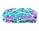 Nucleus