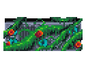 Overgrown