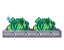 SilverCabbage