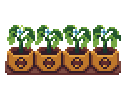 SproutSquad