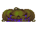 Swampvine Pumpkin