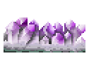 The Amethyst