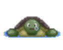 TurtleCoin