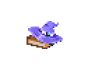 Wizard Pack